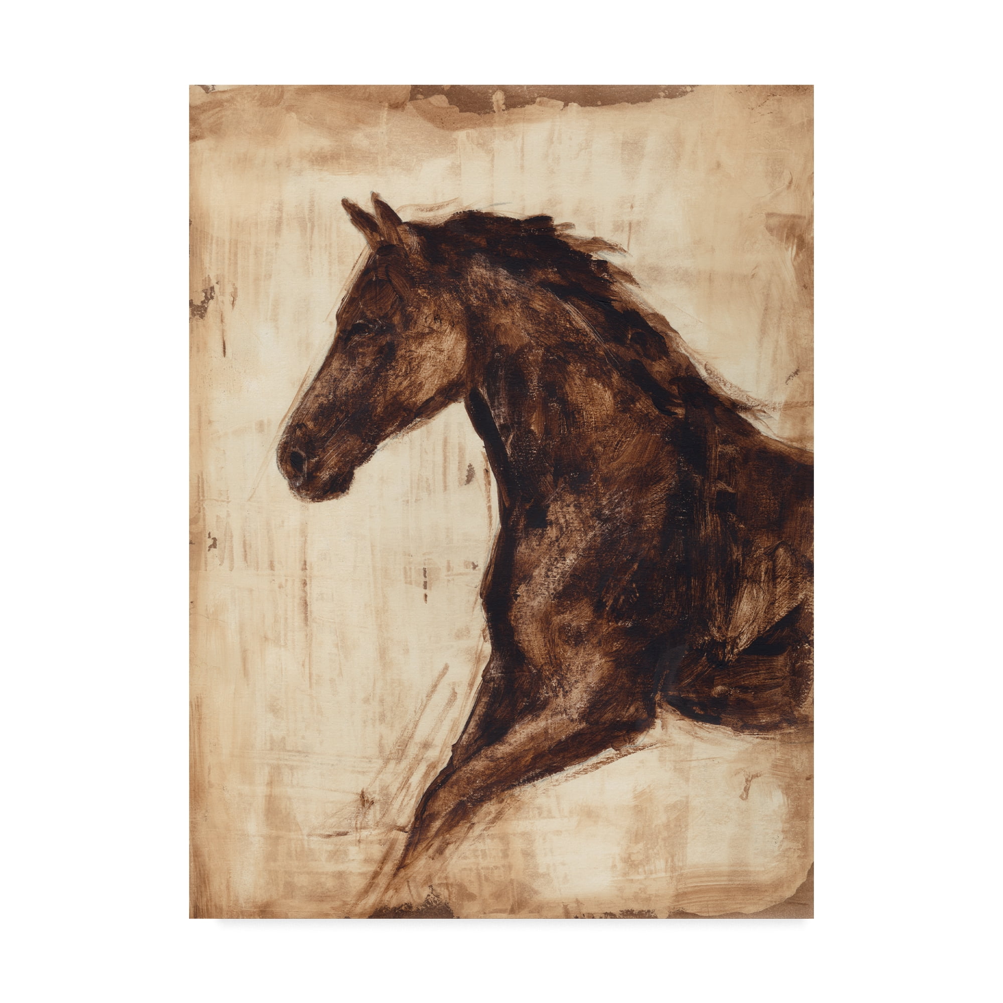 Modern Dark Brown Horse Print on Canvas, 14 x 19