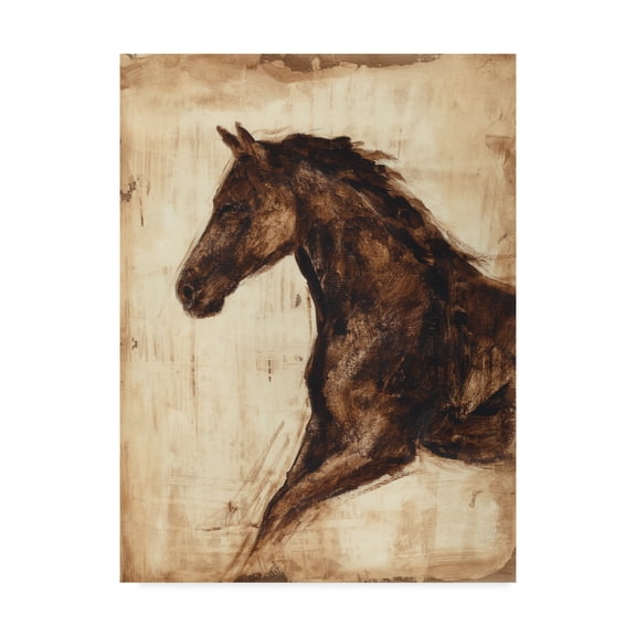 Trademark Fine Art 'Weathered Equestrian I' Canvas Art by Ethan Harper