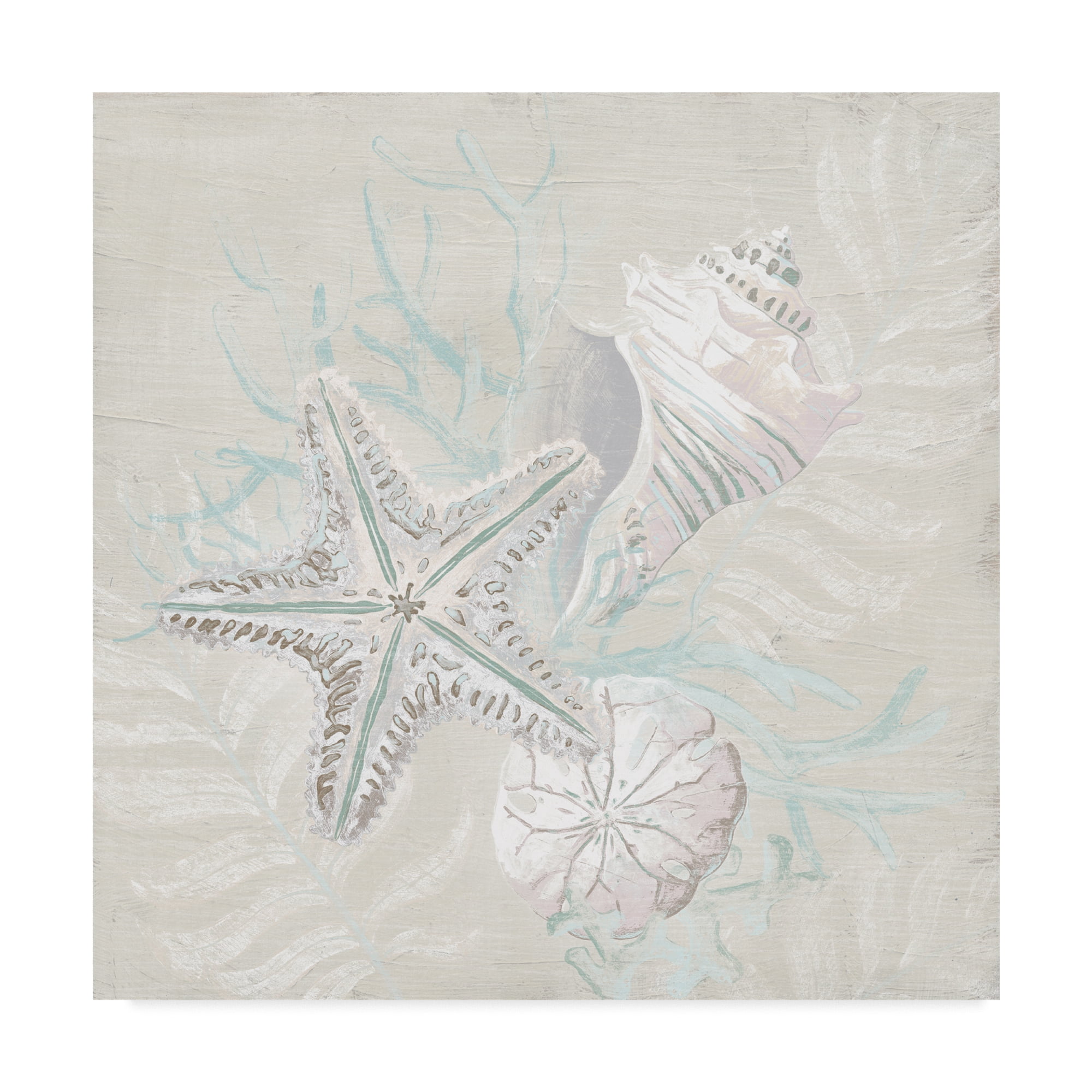 Trademark Fine Art 'Weathered Shell Sketch I' Canvas Art by June Erica Vess