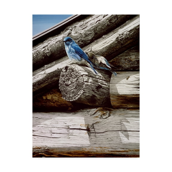 Trademark Fine Art 'Weathered Wood' Canvas Art by Ron Parker
