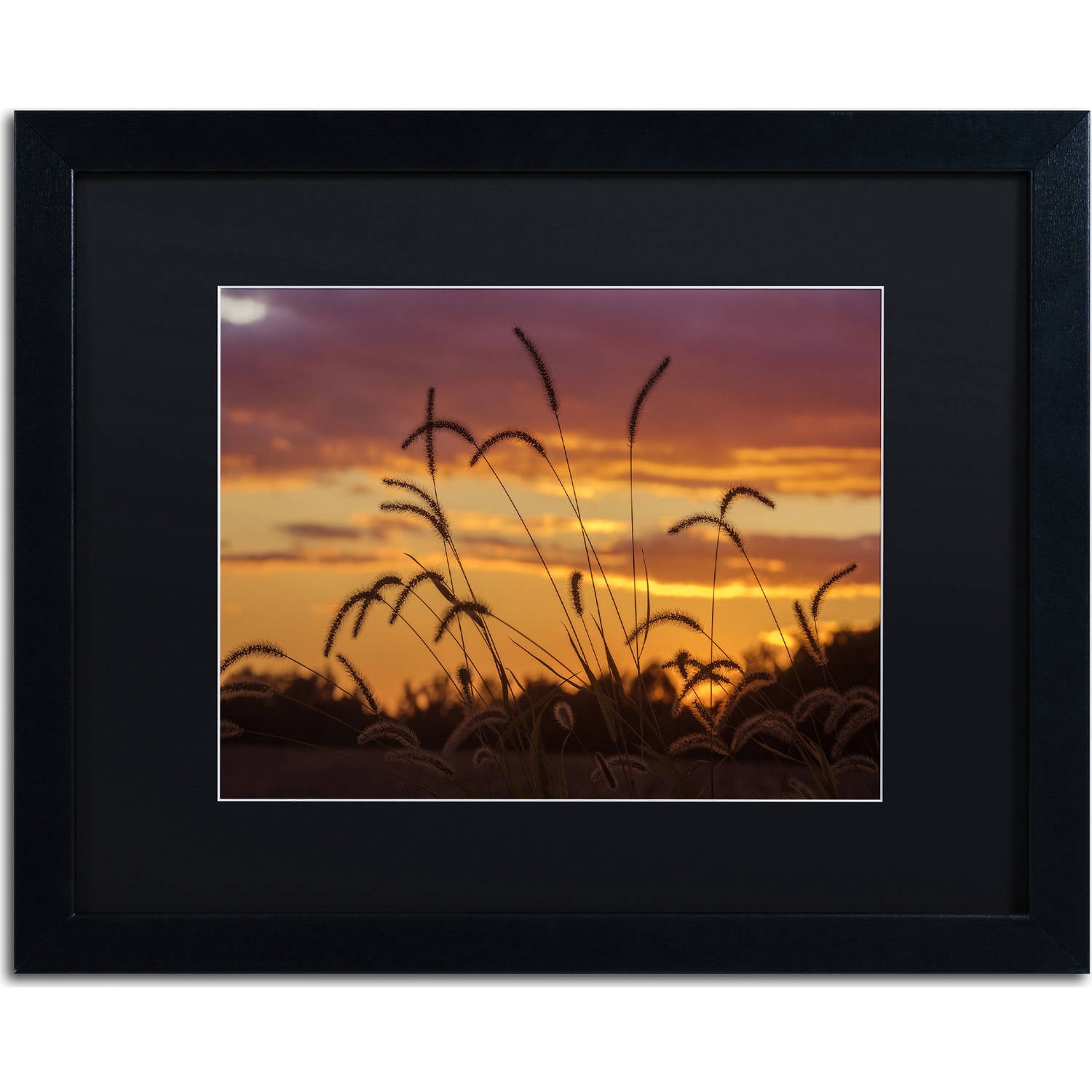 Trademark Fine Art "Weeds" Canvas Art by Jason Shaffer, Black Matte, Black Frame