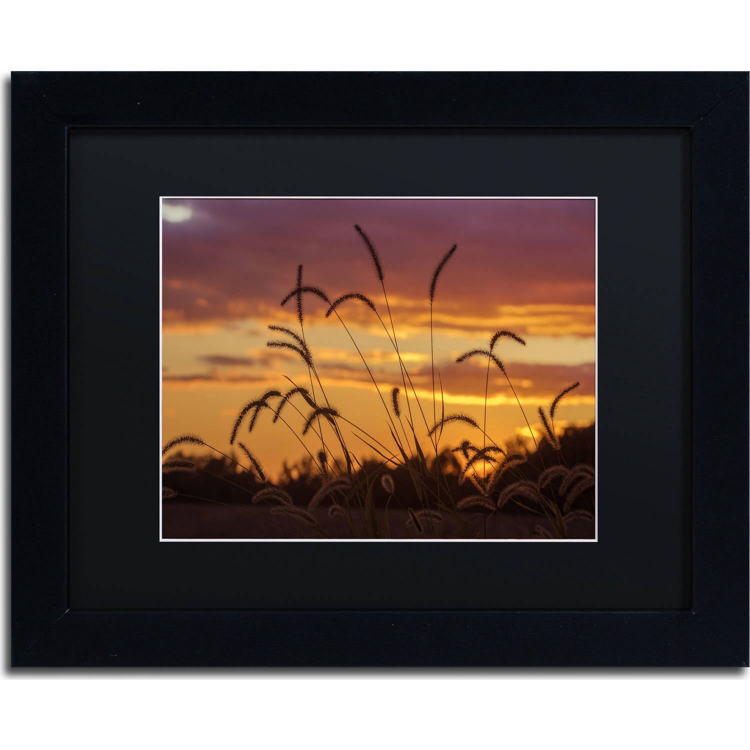 Trademark Fine Art "Weeds" Canvas Art by Jason Shaffer, Black Matte, Black Frame