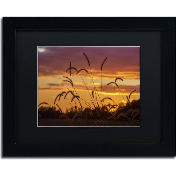 Trademark Fine Art "Weeds" Canvas Art by Jason Shaffer, Black Matte, Black Frame