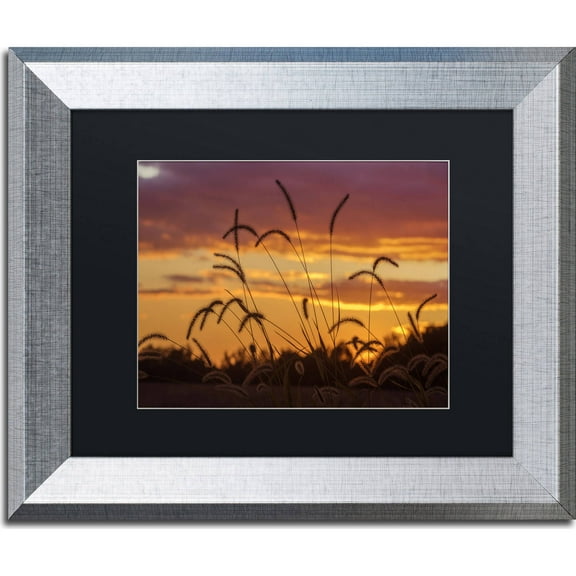 Trademark Fine Art "Weeds" Canvas Art by Jason Shaffer, Black Matte, Silver Frame
