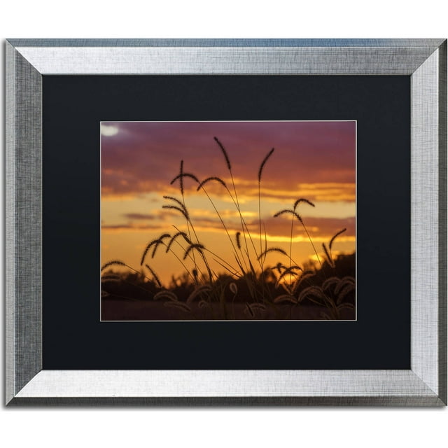Trademark Fine Art "Weeds" Canvas Art by Jason Shaffer, Black Matte, Silver Frame