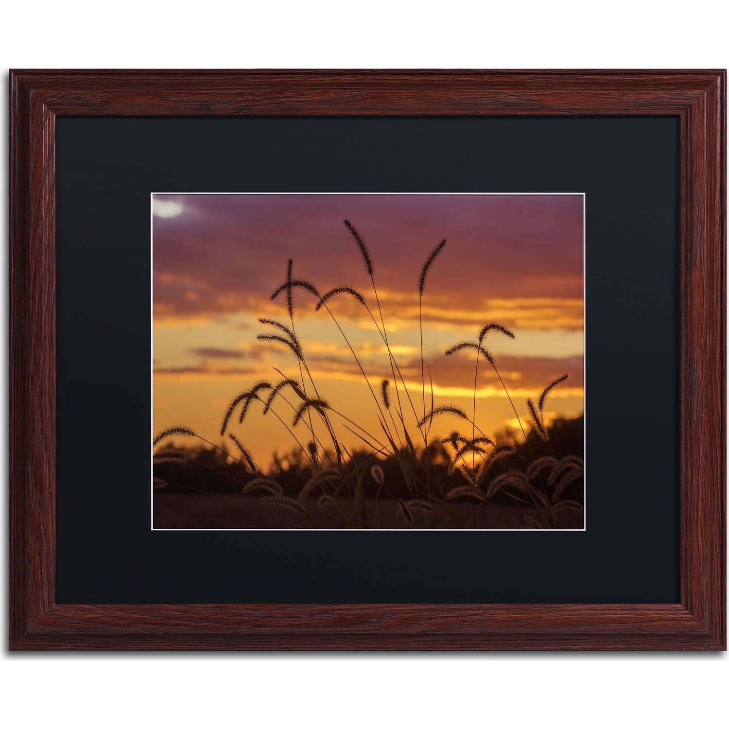 Trademark Fine Art "Weeds" Canvas Art by Jason Shaffer, Black Matte, Wood Frame