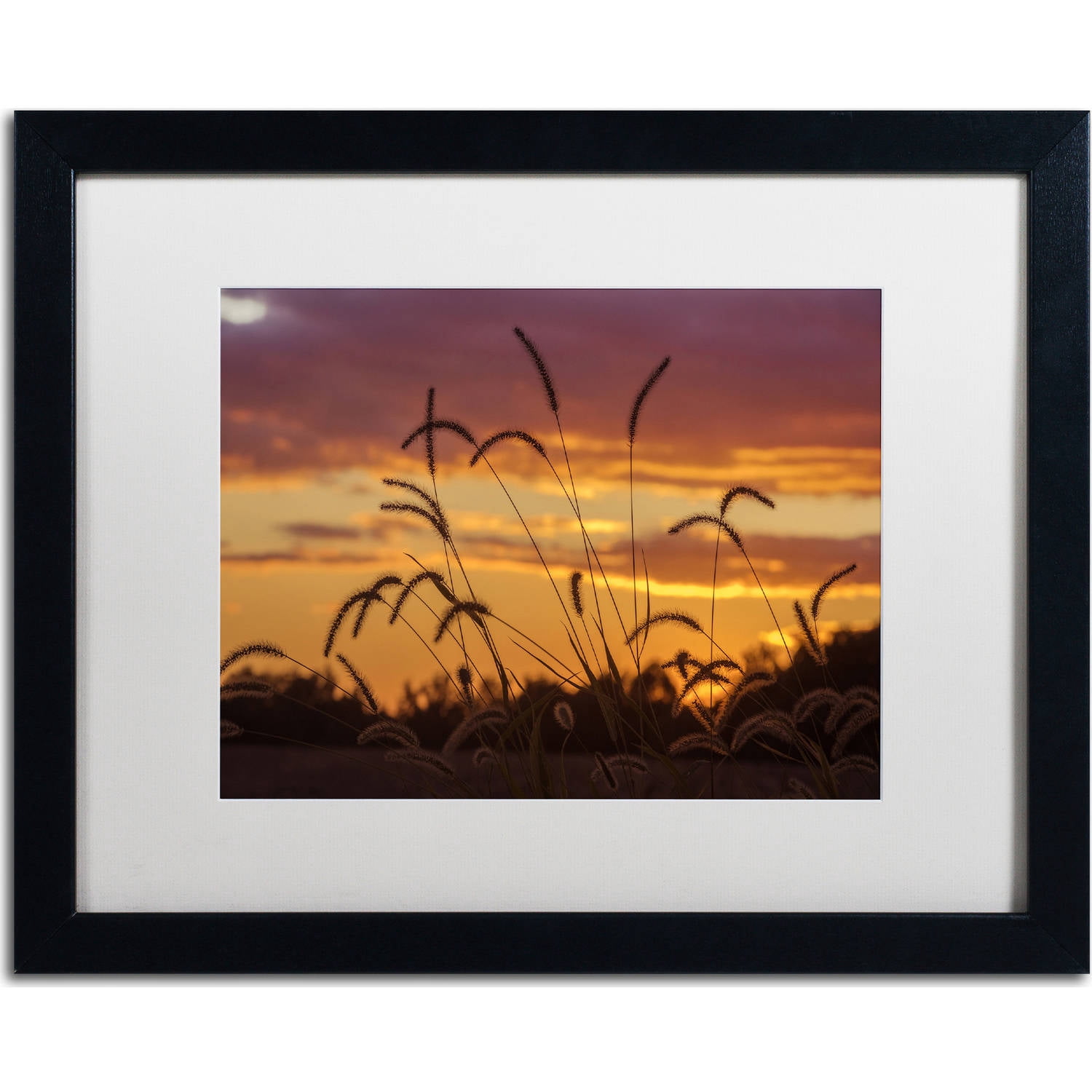 Trademark Fine Art "Weeds" Canvas Art by Jason Shaffer, White Matte, Black Frame