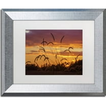 Trademark Fine Art "Weeds" Canvas Art by Jason Shaffer, White Matte, Silver Frame