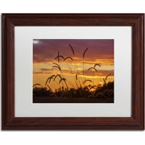 Trademark Fine Art "Weeds" Canvas Art by Jason Shaffer, White Matte, Wood Frame