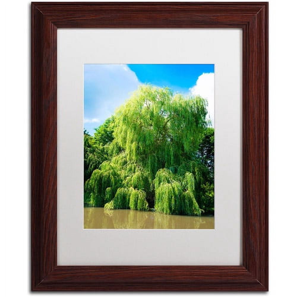 Trademark Fine Art "Weeping Willow" Canvas Art by Philippe Sainte-Laudy, White Matte, Wood Frame