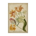 thumbnail image 1 of Trademark Fine Art 'Weinman Tropical Floral II' Canvas Art by Weinmann, 1 of 3