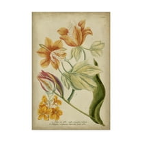 Trademark Fine Art 'Weinman Tropical Floral II' Canvas Art by Weinmann