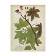 thumbnail image 1 of Trademark Fine Art 'Weinmann Tropical Plants II' Canvas Art by Johann Weinmann, 1 of 4