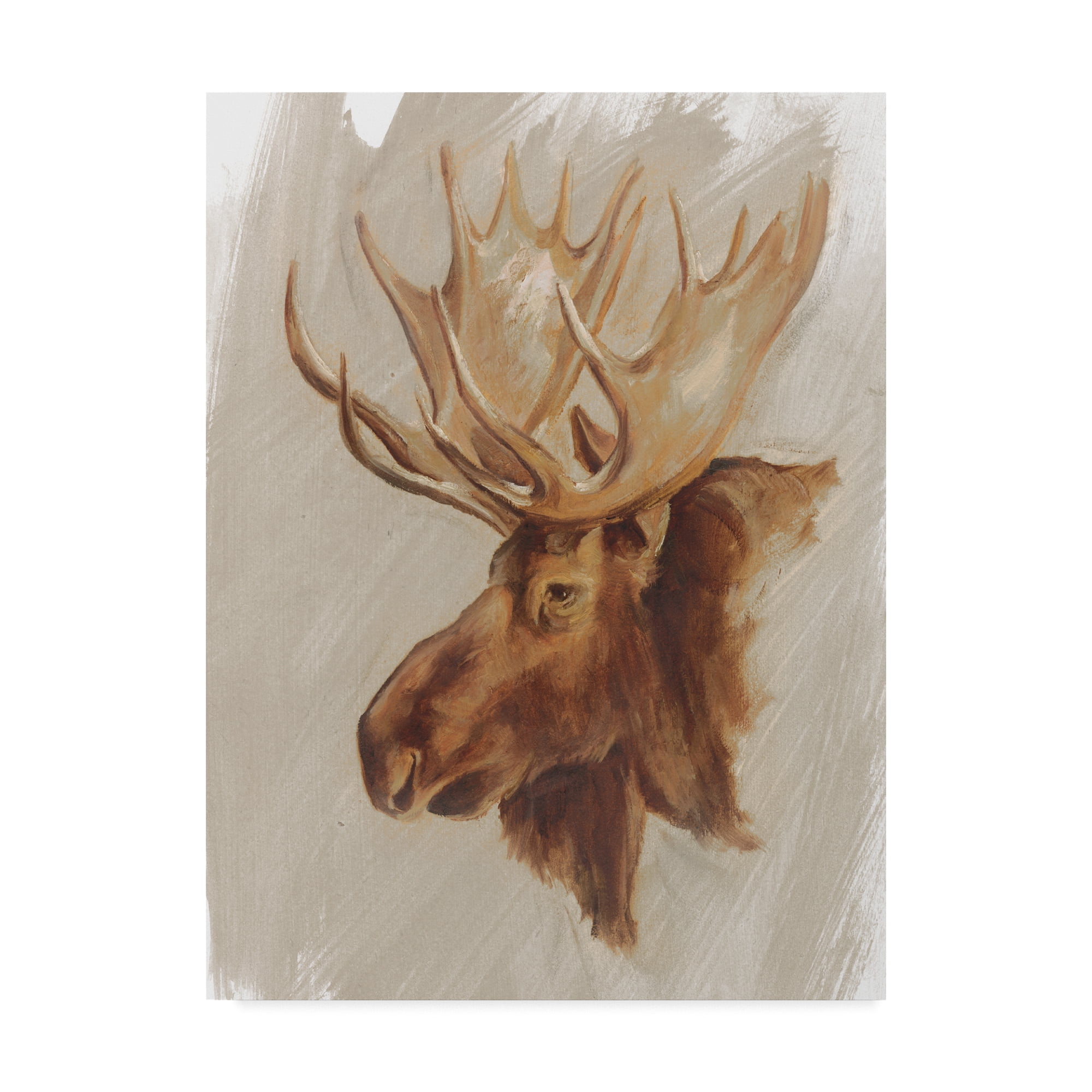 Trademark Fine Art 'Western American Animal Study II' Canvas Art by Ethan Harper