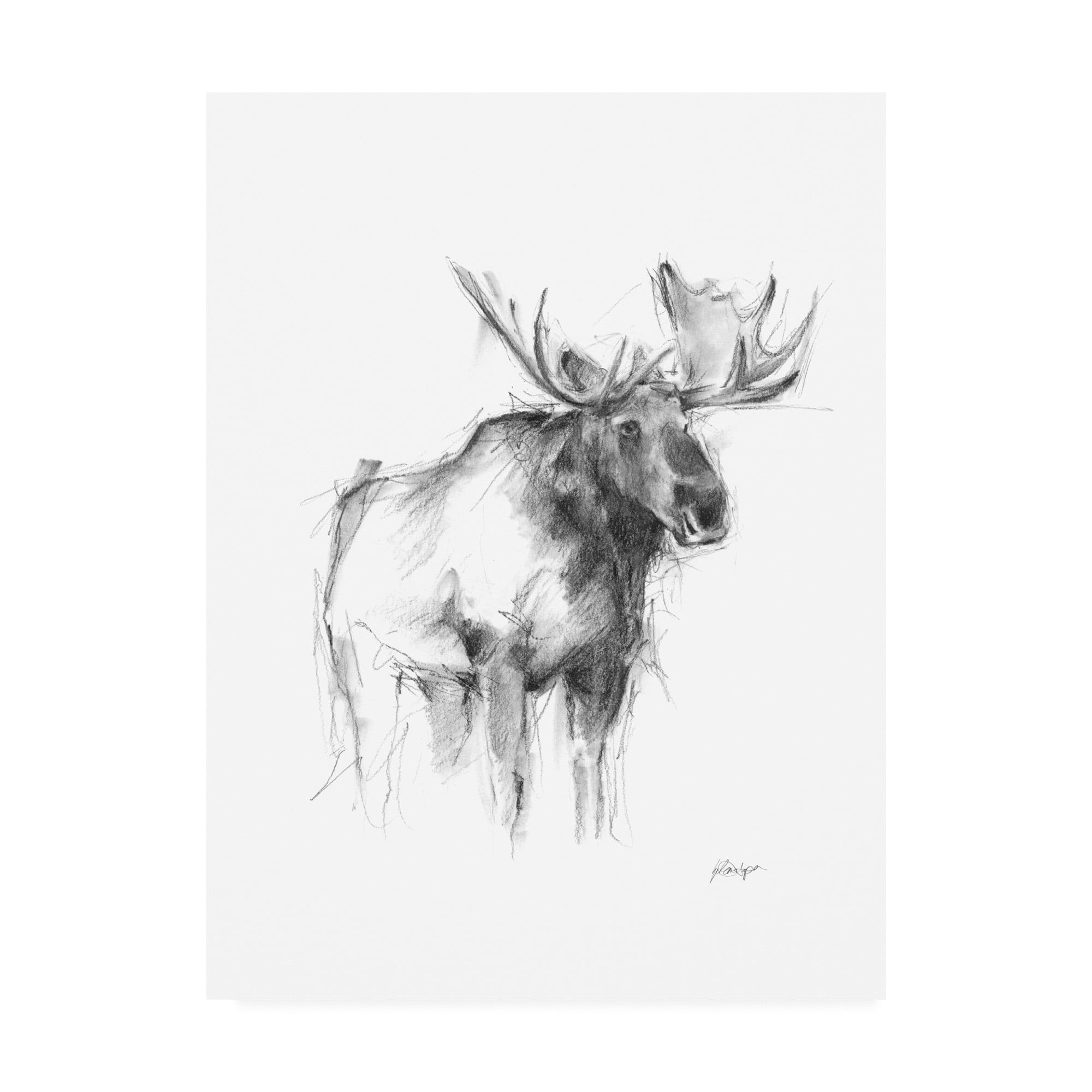 Trademark Fine Art 'Western Animal Sketch IV' Canvas Art by Ethan Harper