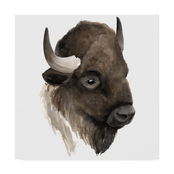 Trademark Fine Art 'Western Animal Study IV' Canvas Art by Grace Popp