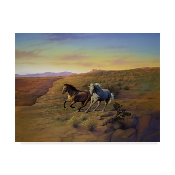 Trademark Fine Art 'Western Skies' Canvas Art by Kirk Reinert
