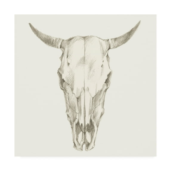 Trademark Fine Art 'Western Skull Mount I' Canvas Art by Ethan Harper
