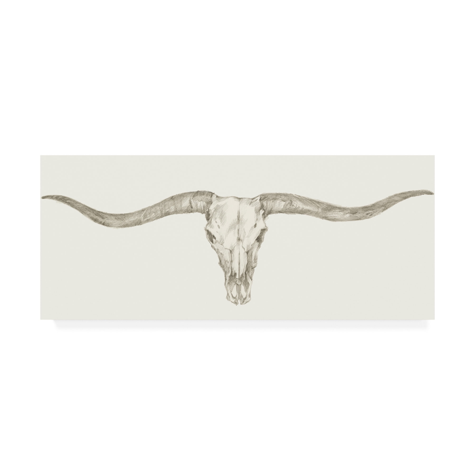 Trademark Fine Art 'Western Skull Mount III' Canvas Art by Ethan Harper
