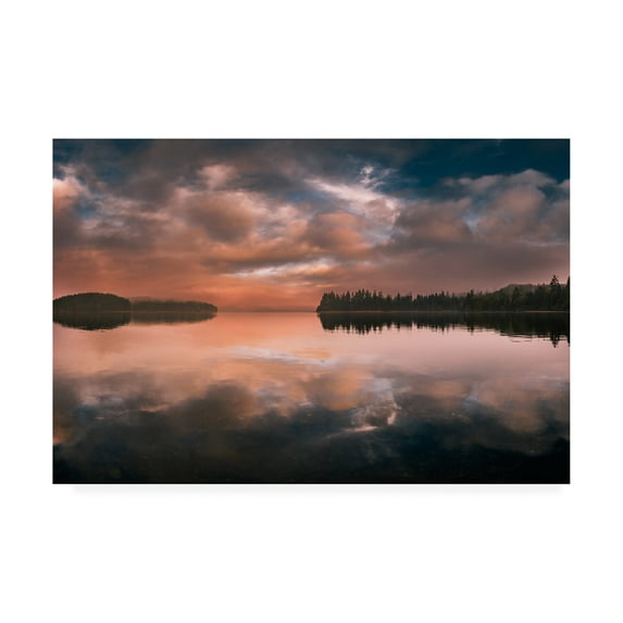Trademark Fine Art 'Western Sunset Forest' Canvas Art by Vladimir Kostk