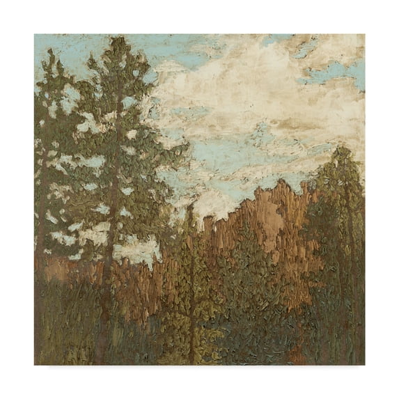 Trademark Fine Art 'Western View I' Canvas Art by Megan Meagher