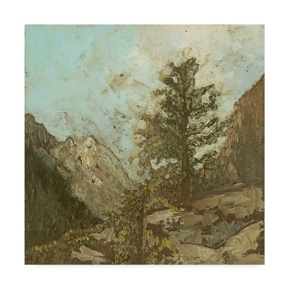 Trademark Fine Art 'Western View VI' Canvas Art by Megan Meagher