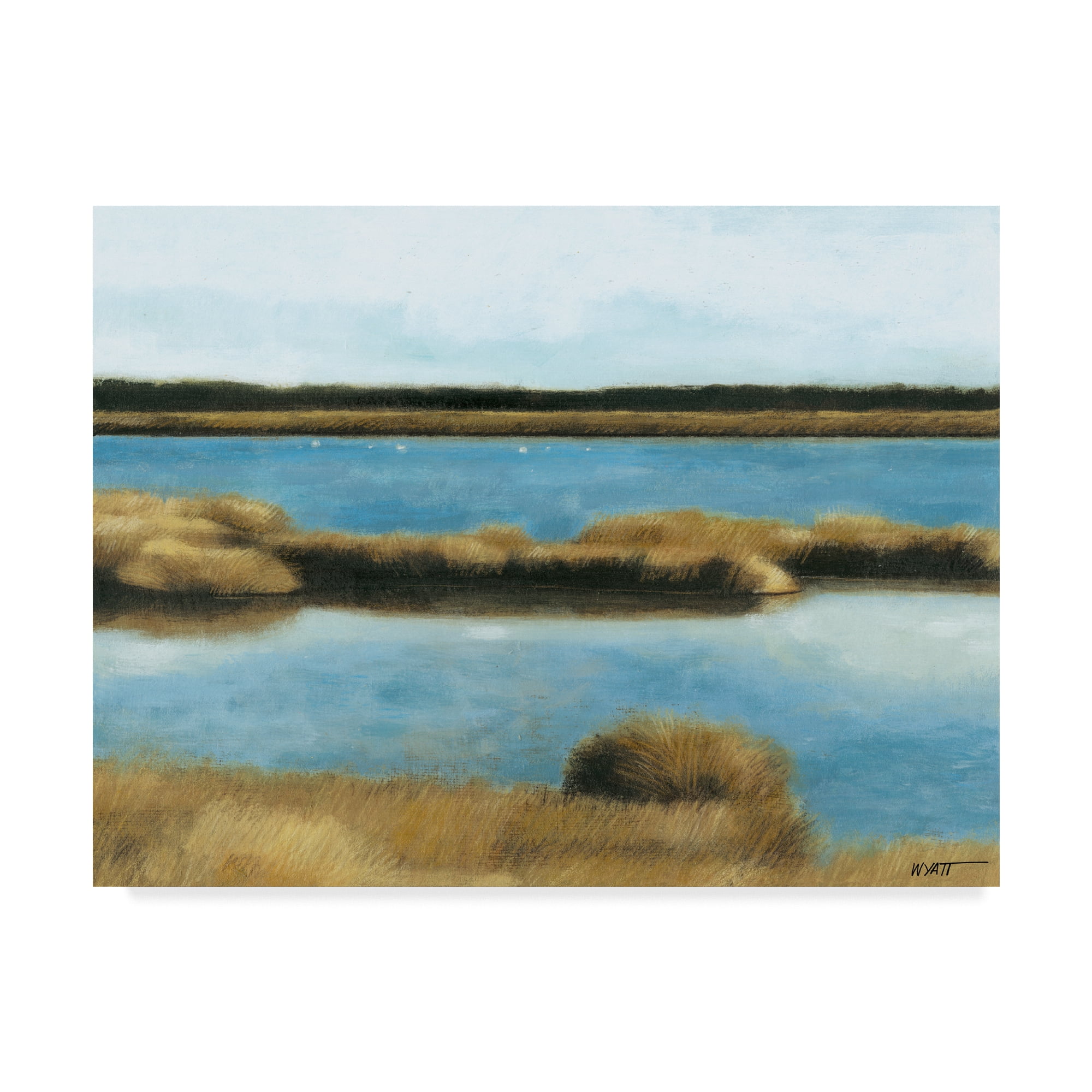 Trademark Fine Art 'Wet Lands II' Canvas Art by Norman Wyatt