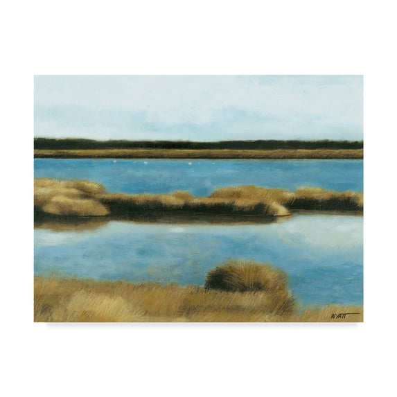 Trademark Fine Art 'Wet Lands II' Canvas Art by Norman Wyatt