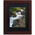 thumbnail image 1 of Trademark Fine Art "Wet Rocks" Canvas Art by Philippe Sainte-Laudy, Black Matte, Wood Frame, 1 of 4