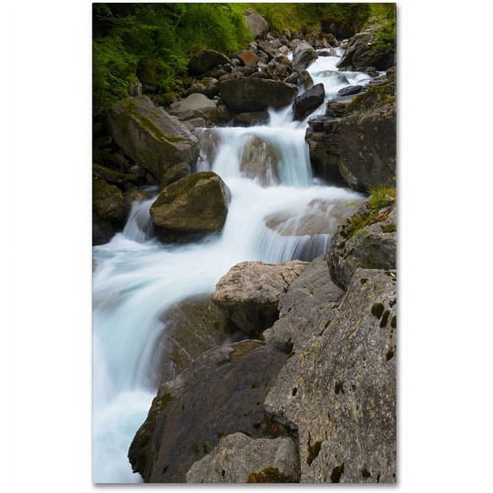 Trademark Fine Art "Wet Rocks" Canvas Art by Philippe Sainte-Laudy
