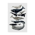 thumbnail image 1 of Trademark Fine Art 'Whale Display I' Canvas Art by Naomi McCavitt, 1 of 4