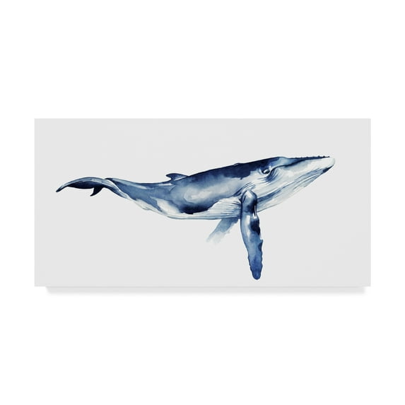 Trademark Fine Art 'Whale Portrait I' Canvas Art by Grace Popp
