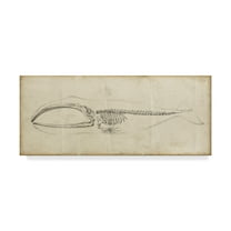 Trademark Fine Art 'Whale Study I' Canvas Art by Ethan Harper