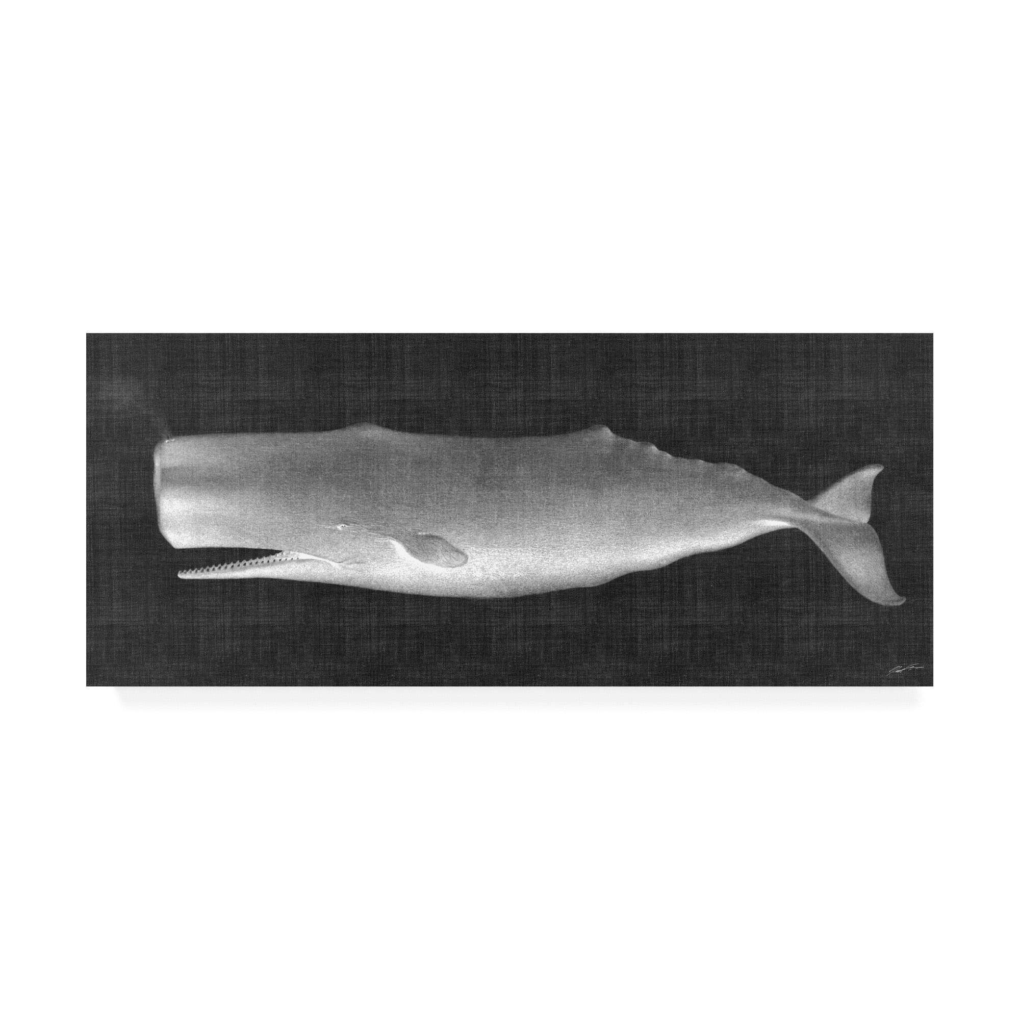 Trademark Fine Art 'Whale Watching II' Canvas Art by John Butler