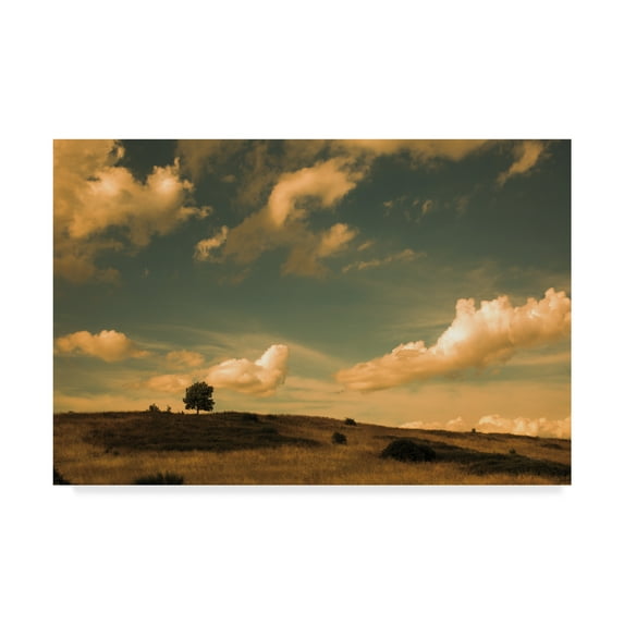 Trademark Fine Art 'What Beautiful Clouds' Canvas Art by Aledanda