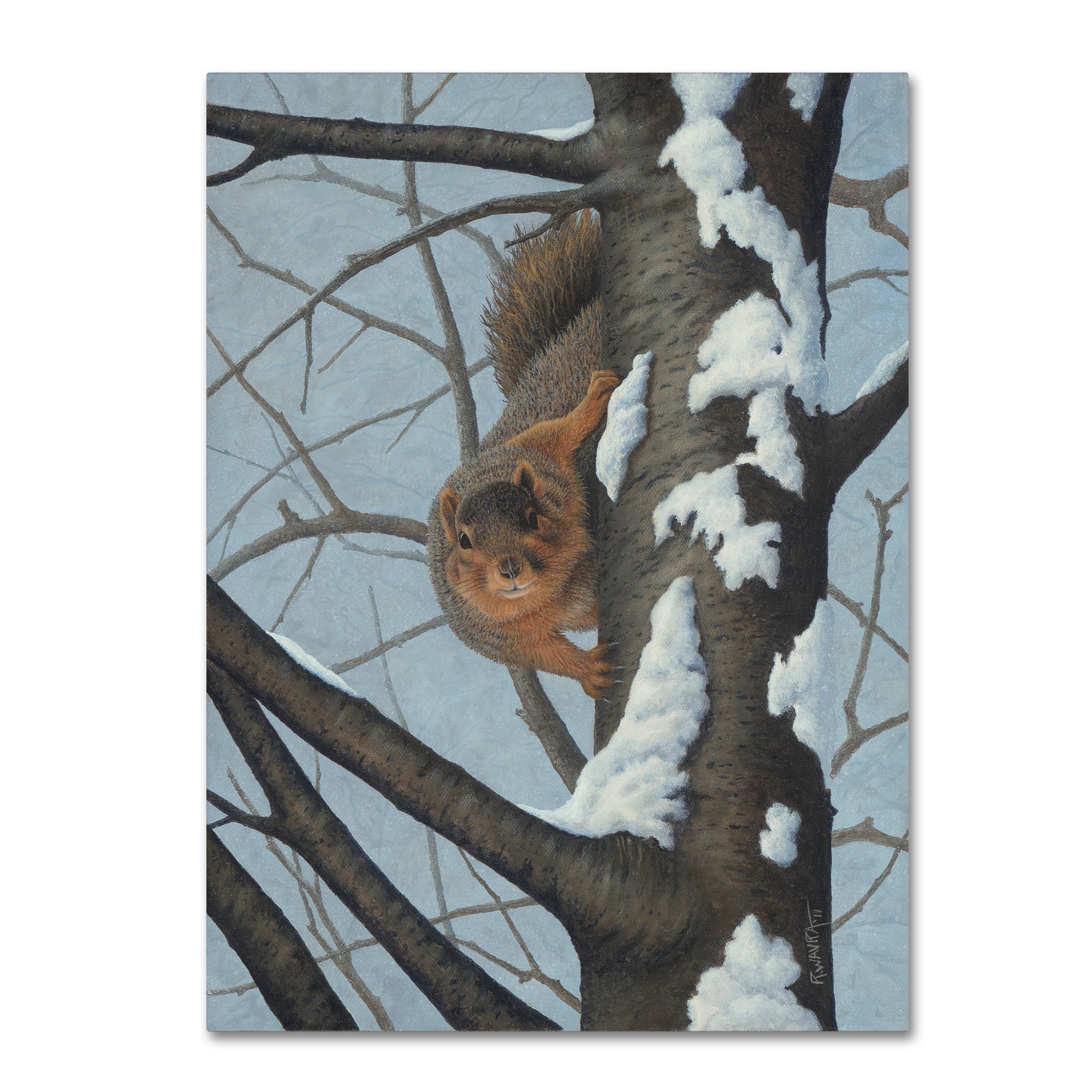 Trademark Fine Art 'What's Going On - Fox Squirrel' Canvas Art by Robert Wavra