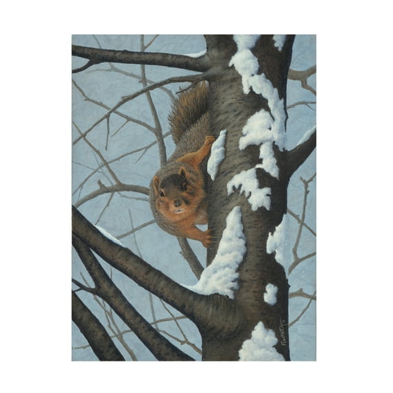 Trademark Fine Art 'What's Going On - Fox Squirrel' Canvas Art by Robert Wavra