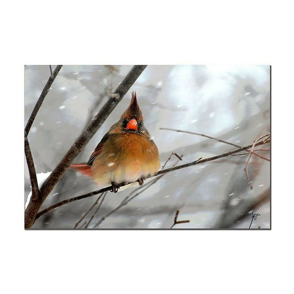 Trademark Fine Art "What the ?" Canvas Art by Lois Bryan