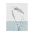 thumbnail image 1 of Trademark Fine Art 'Wheat' Canvas Art by Sarah Adams, 1 of 3