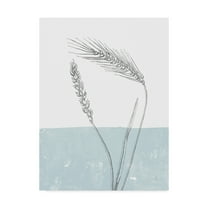 Trademark Fine Art 'Wheat' Canvas Art by Sarah Adams