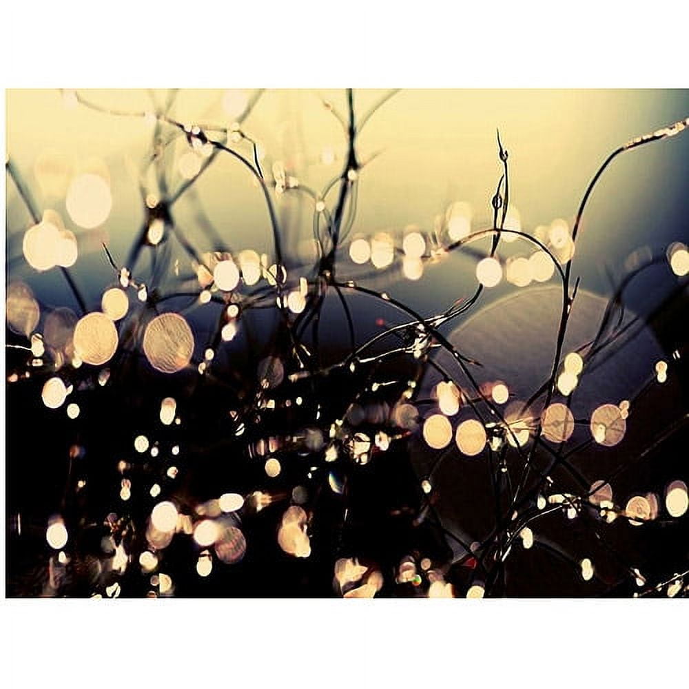Trademark Fine Art "When Fairies Dance" Canvas Art by Beata Czyzowska