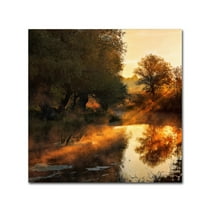 Trademark Fine Art 'When Nature Paints With Light' Canvas Art by Leicher Oliver