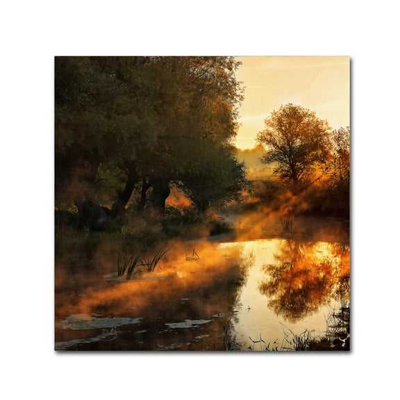 Trademark Fine Art 'When Nature Paints With Light' Canvas Art by Leicher Oliver