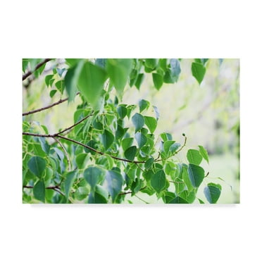 Trademark Fine Art 'When Summer Starts' Canvas Art by Incredi