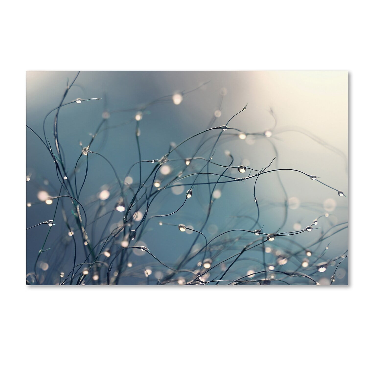 Abstract Blue and White Canvas Print Art 12" x 19"
