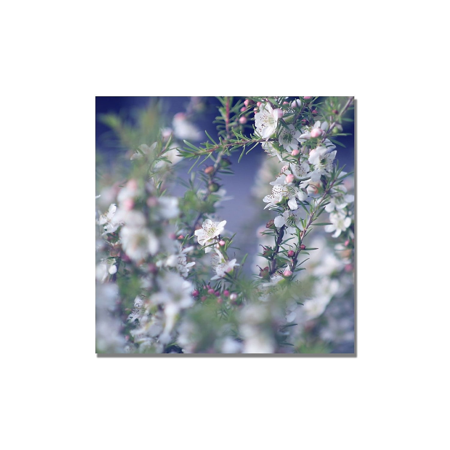 Trademark Fine Art "When You're in Her Garden" Canvas Art by Beata Czyzowska
