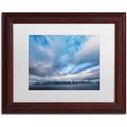 thumbnail image 1 of Trademark Fine Art 'When the Stillness Comes' Canvas Art by Philippe Sainte-Laudy, White Matte, Wood Frame, 1 of 1
