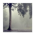 thumbnail image 1 of Trademark Fine Art "Where They Hold Hands" Canvas Art by Beata Czyzowska Young, 1 of 4