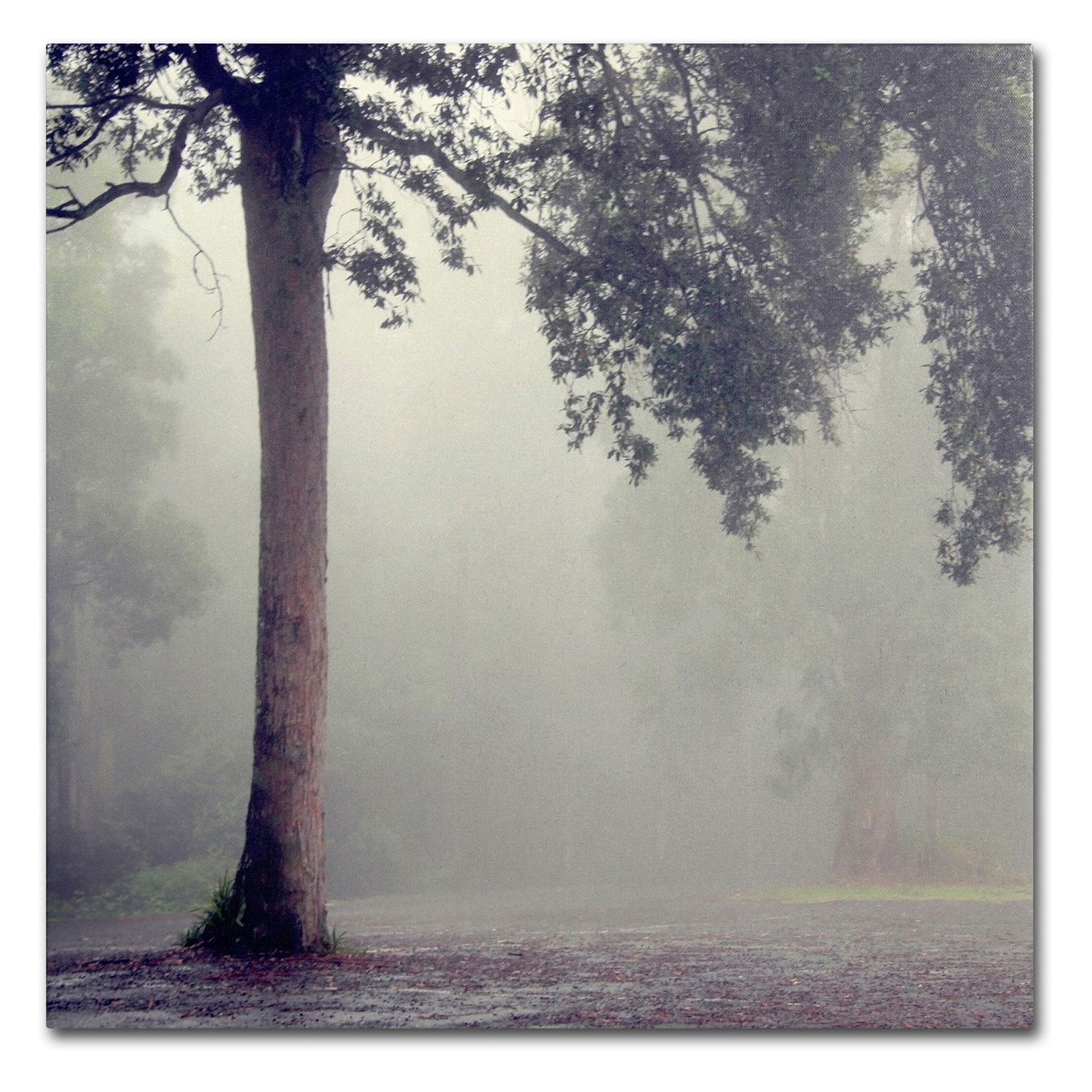 Misty Forest Landscape Canvas Art in Neutral Tones