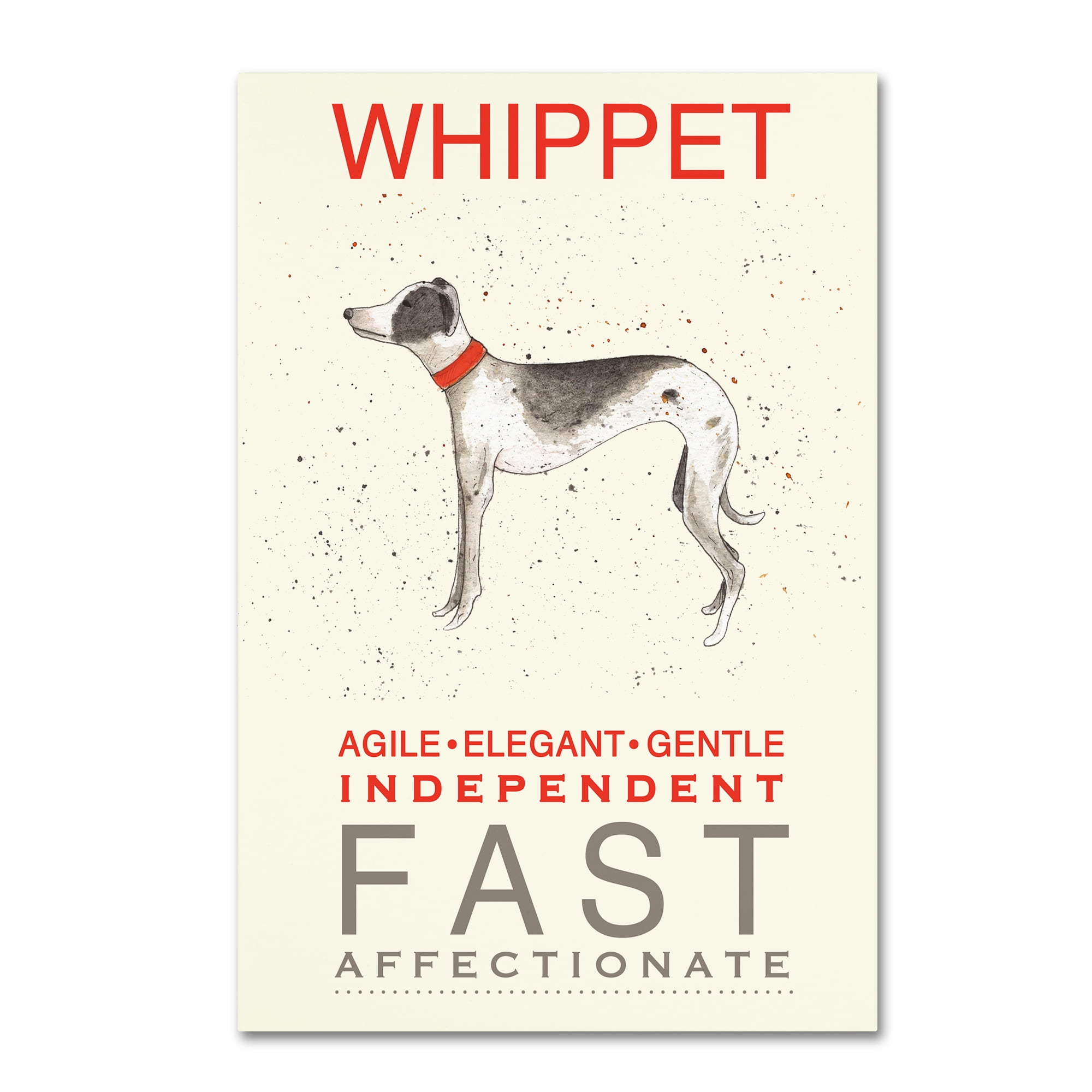 Trademark Fine Art 'Whippet Print' Canvas Art by Michelle Campbell
